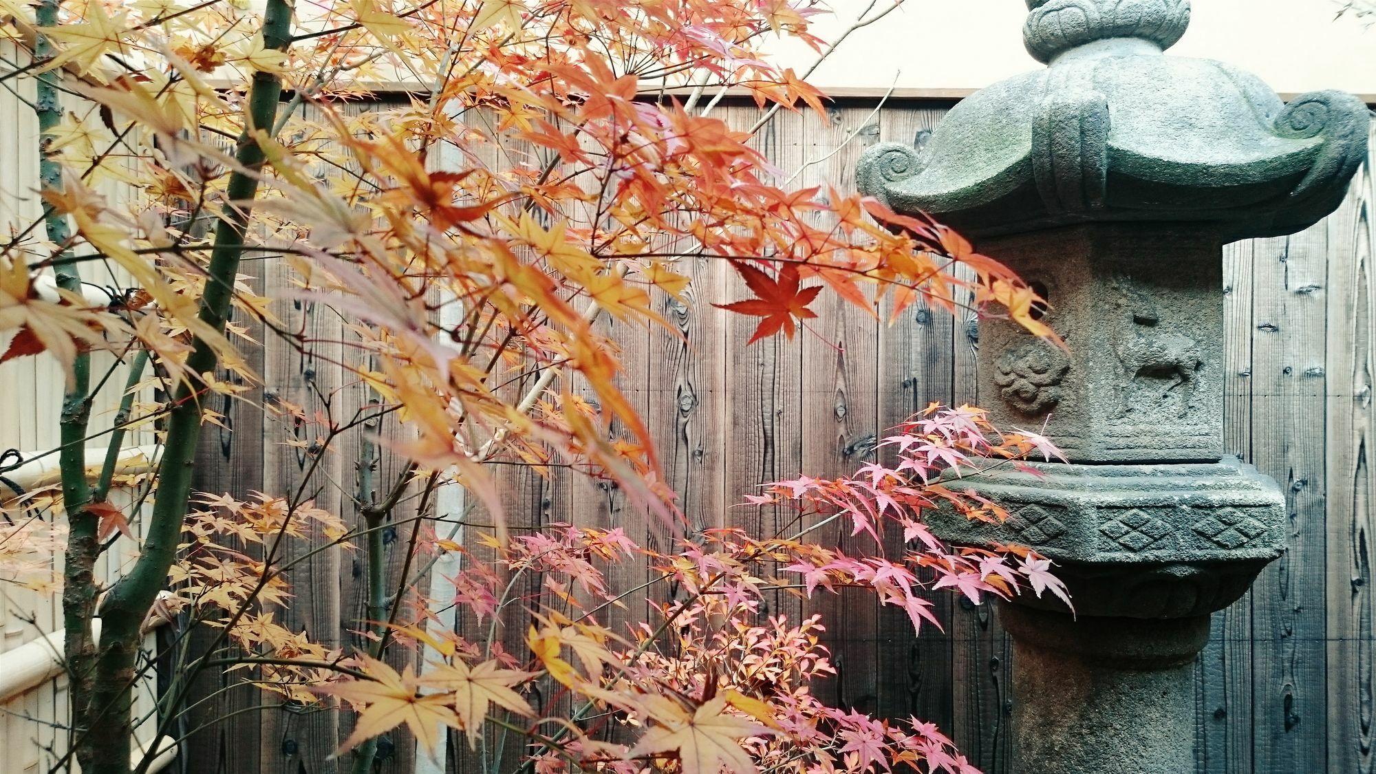 Guest House Bokuyado Kyoto Buitenkant foto